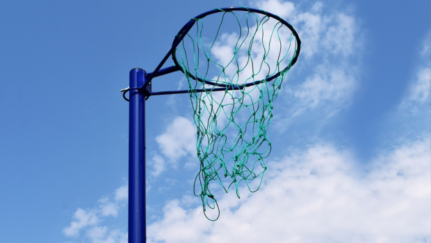 Regulation Netball Nets