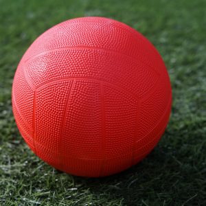Standard Netball Ball