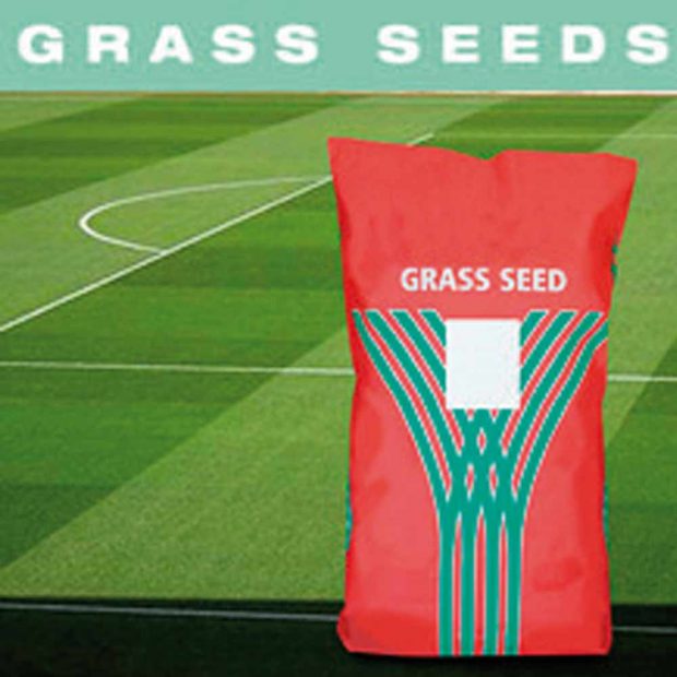 Football & Rugby Grass Seed - Outfield