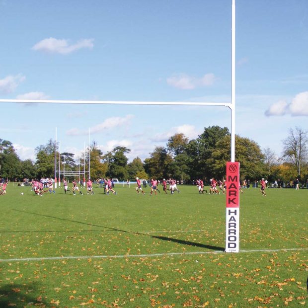 Two Colour Rugby Post