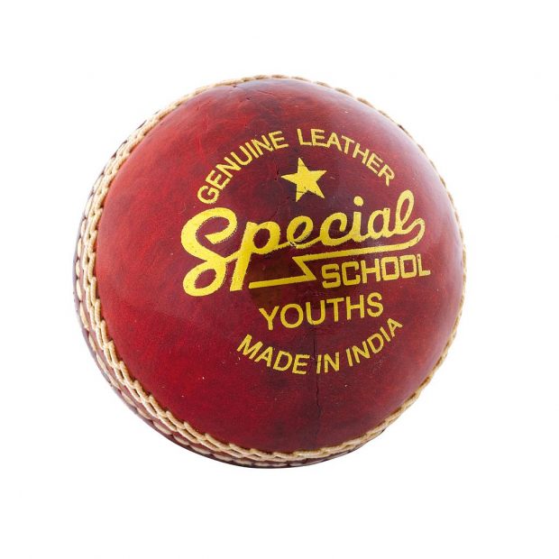 Special School Cricket Ball