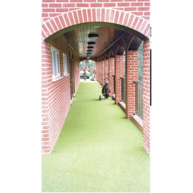 Super Pathway Turf