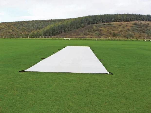 Wicket Protection Sheets